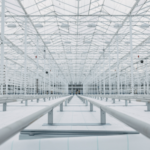 WA3RM greenhouse