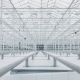 WA3RM greenhouse